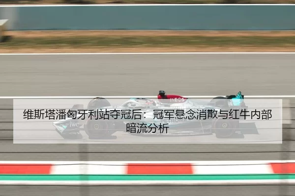 wei-si-ta-pan-xiong-ya-li-zhan-duo-guan-hou-guan-jun-xuan-nian-xiao-san-yu-hong-niu-nei-bu-an-liu-fen-xi-3-437.jpg